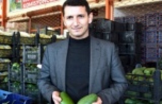 Alanyalı avokado üreticilerini uyardı