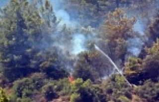 Antalya’daki orman yangını kontrol altına alındı