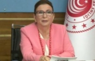 Bakan Pekcan'dan hibe desteği açıklaması