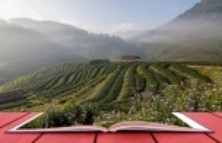 Büyükşehirin çiftçi eğitimleri sürüyor