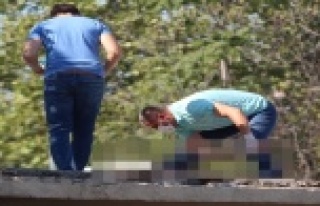 Cezaevinden korona virüs izniyle çıktı, damda...