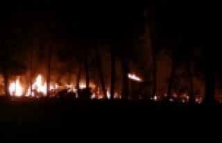 Çöp dökülen alanda başlayan yangın ağaçlara...