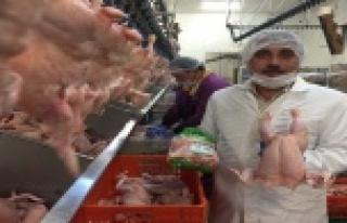 Et yerine suya para ödemeyin