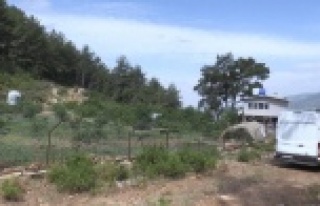 Gündoğmuş Güneycik’te su sevinci