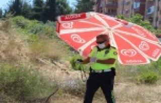 Kavurucu sıcak polis memurunu da vurdu, trafik polisi...