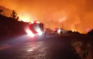Komşu alev alev yanıyor! Yerleşim yerleri tehdit...