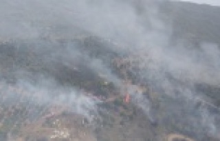 Komşuda korkutan yangın