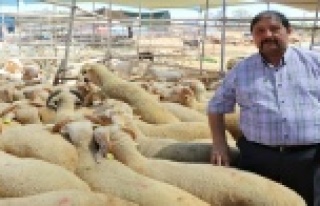 Kurbanda kesim yerlerinde randevu sistemiyle çalışılacak