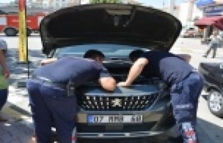 Otomobile saklanan kedi sanayide parçalar sökülerek...