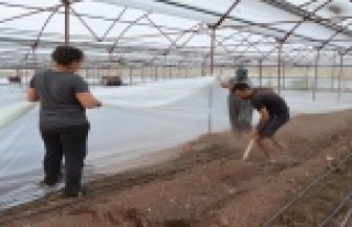 Seralarda solarizasyon dönemi başladı