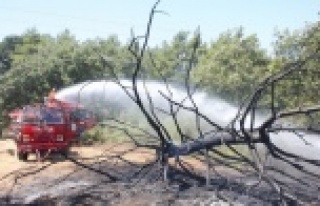 Sıcak sebebiyle aşırı yüklenen trafo yangına...