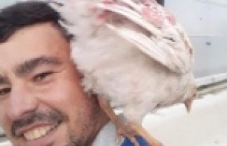 Tavuk hobisi ölümüne sebep oldu