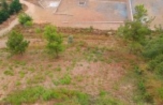 TOKİ, Alanya'daki 4 arsasını sattı