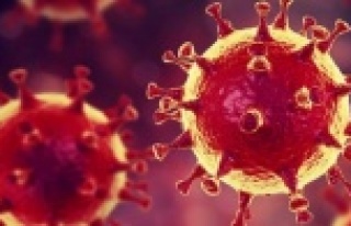 Yayılma azalmazsa koronada risk büyük