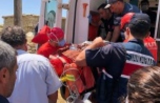 Yaylada 30 metrelik uçurumdan düşen çoban ağır...