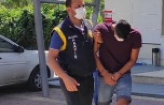 Alanya'da çaldığı motosikletle papağan hırsızlığı...