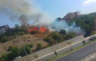 Alanya'da çıkan yangın yerleşim yerlerin...