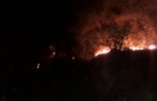 Alanya'da gece korkutan yangın