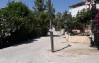 Alanya'da ilginç direk! Kaldırmak için facia...