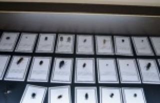 Alanya'da özel sistemle korunan canlı türleri...