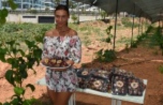 Alanya'da tropikal meyve kazanç kapısına dönüştü