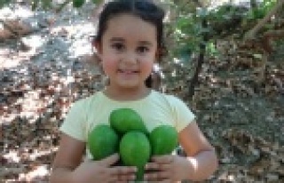 Alanya'dan 8 ülkeye ihraç edilecek