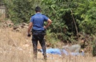Boş arazide ceset bulundu
