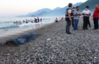 "Bu da bizim ayıbımız" deyip kayda girdi,...