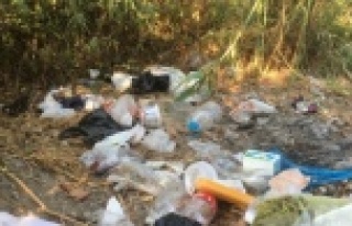 Bu mudur sizin piknik anlayışınız?