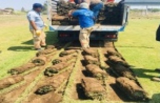 Büyükşehir ‘Rulo Çim Üretim Tesisi’ kurdu