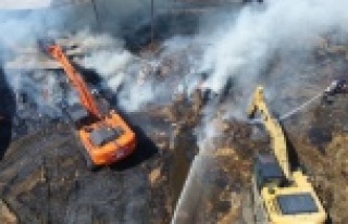 Çiftlikteki yemler alev alev yandı