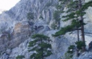 Davutoğlu'nun gündeme getirdiği yola Ak Parti'den...