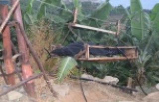 Denizde bulunan ceset teleferikle 350 metrelik yamaçtan...