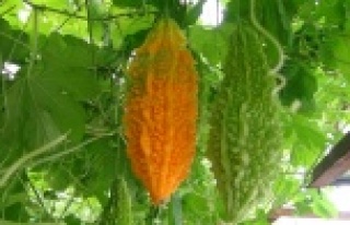 İşsiz kalınca kudret narıyla tanıştı, hayatı...