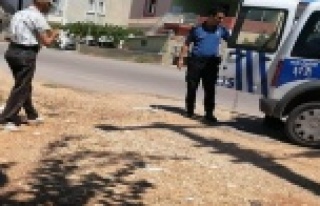 Köpeğe uygunsuz harekette bulunan yaşlı adam serbest...