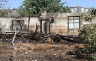 Küle dönen evine değil, ölen bıldırcınlarına...