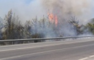 Lastiği patlayan kamyon orman yangını çıkardı