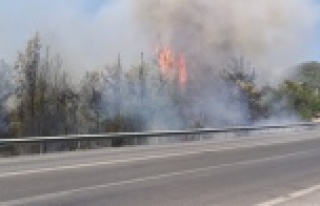 Lastiği patlayan kamyon orman yangını çıkardı