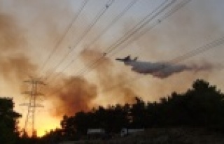 Manavgat'ta 2 saat içinde 4 ayrı yerde alevler...