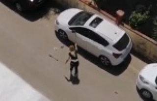 Park halindeki otomobile demir çubukla saldırdı