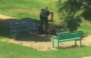 Parkta kadına darp!