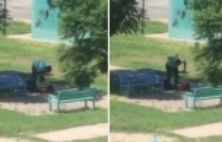 Parkta kadına darp kameraya böyle yansıdı