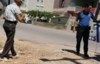 Sokak köpeğine uygunsuz hareketlerde bulunan yaşlı...