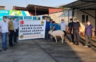 Taburcu olan Başkan Yücel için kurban kestiler