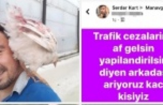 'Trafik cezalarına af gelsin' paylaşımından...