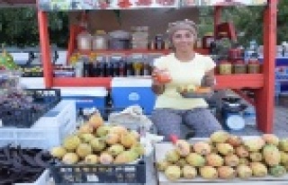 Üniversiteli Sibel'in girişimcilik hikayesi