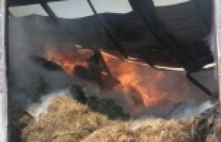 Yüzlerce ton hayvan yeminin bulunduğu depo alev...