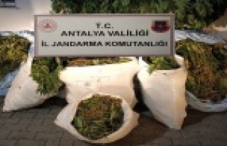 161 kilo uyuşturucu madde ele geçirildi