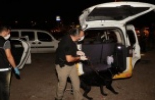 250 polisle şok narkotik uygulaması