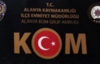 Alanya'da 707 bin adet ele geçirildi! 2 gözaltı...